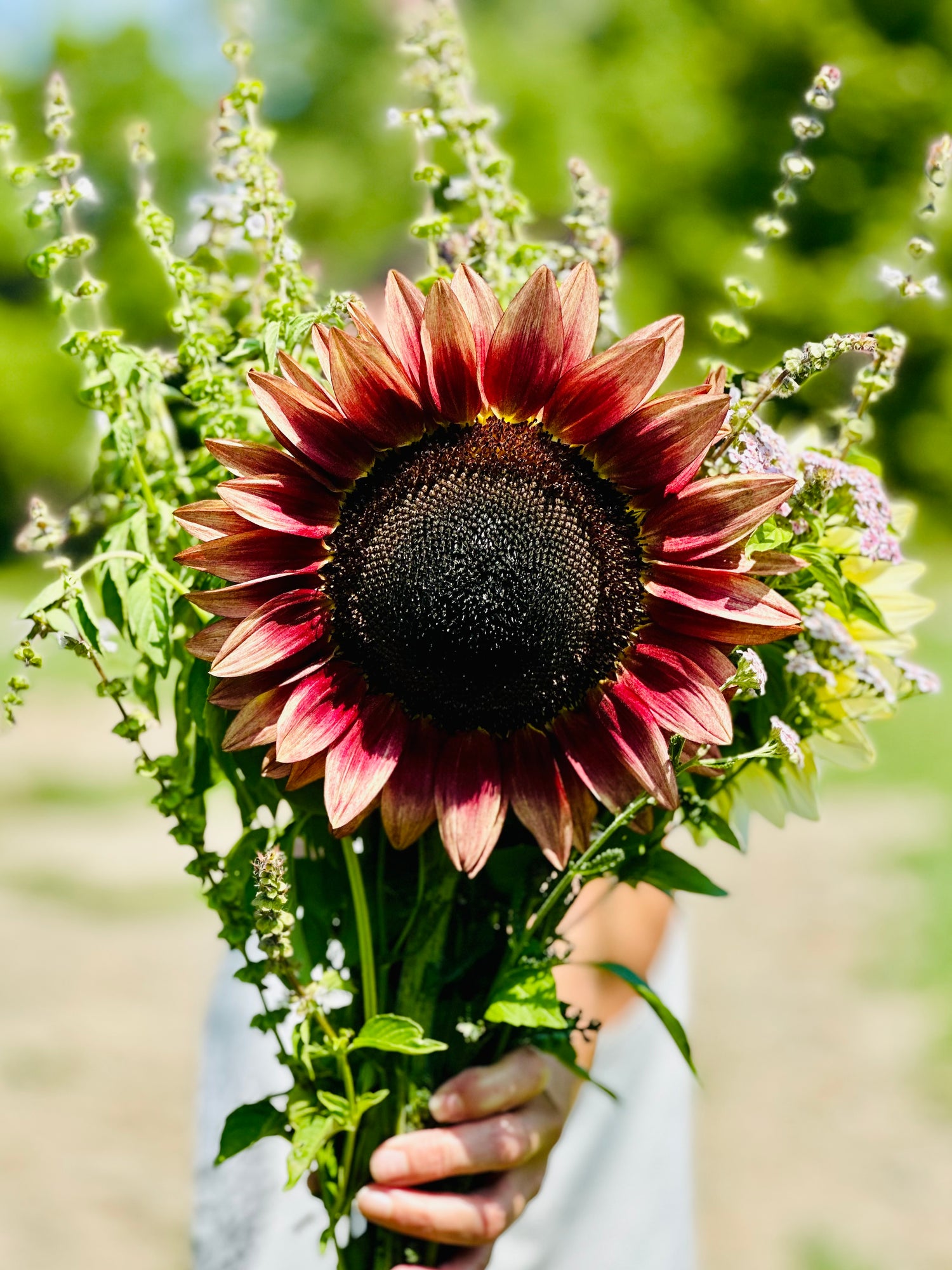 Fall flowers