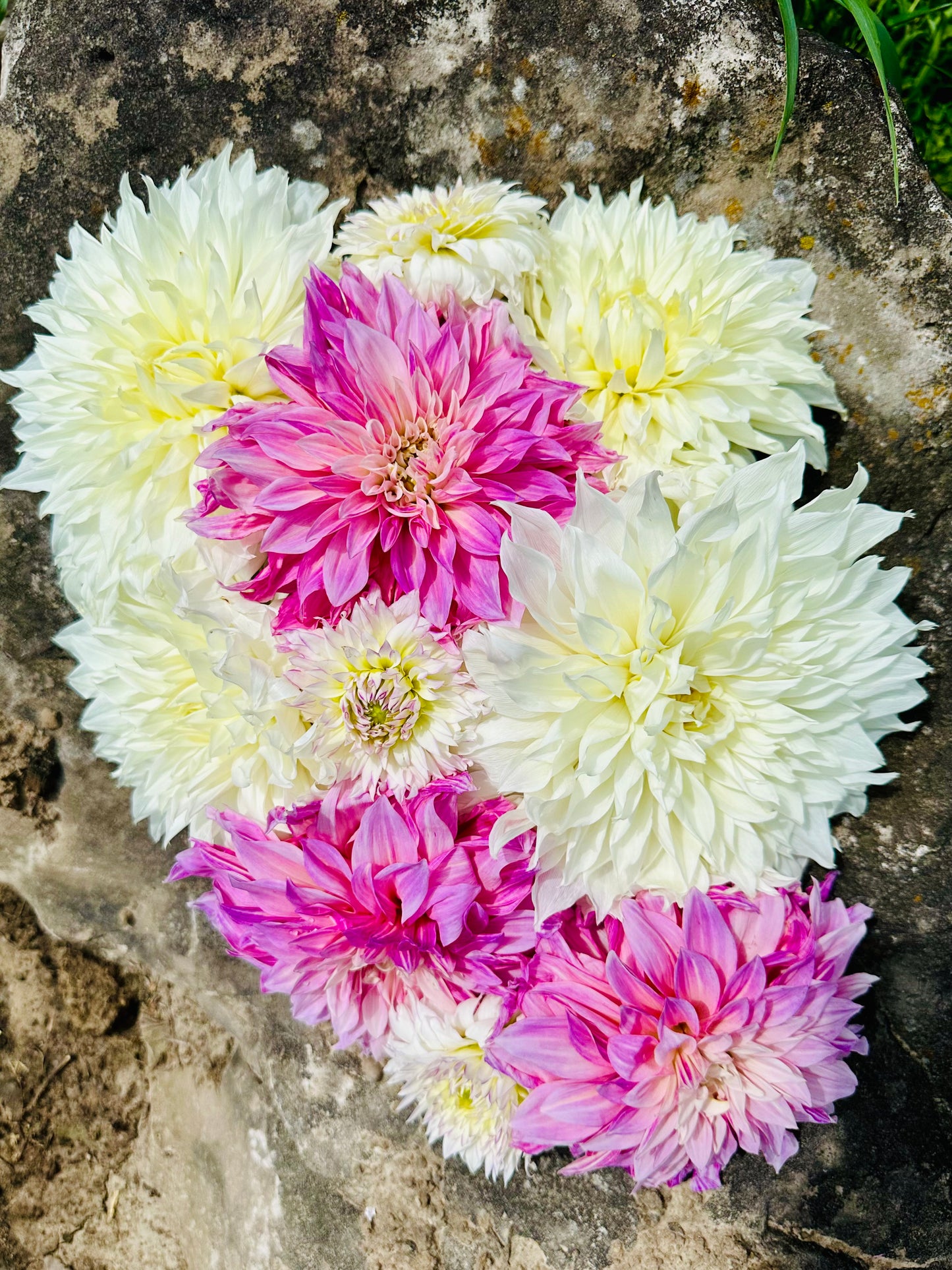 4 Weeks of Flowers - Fall Bouquet