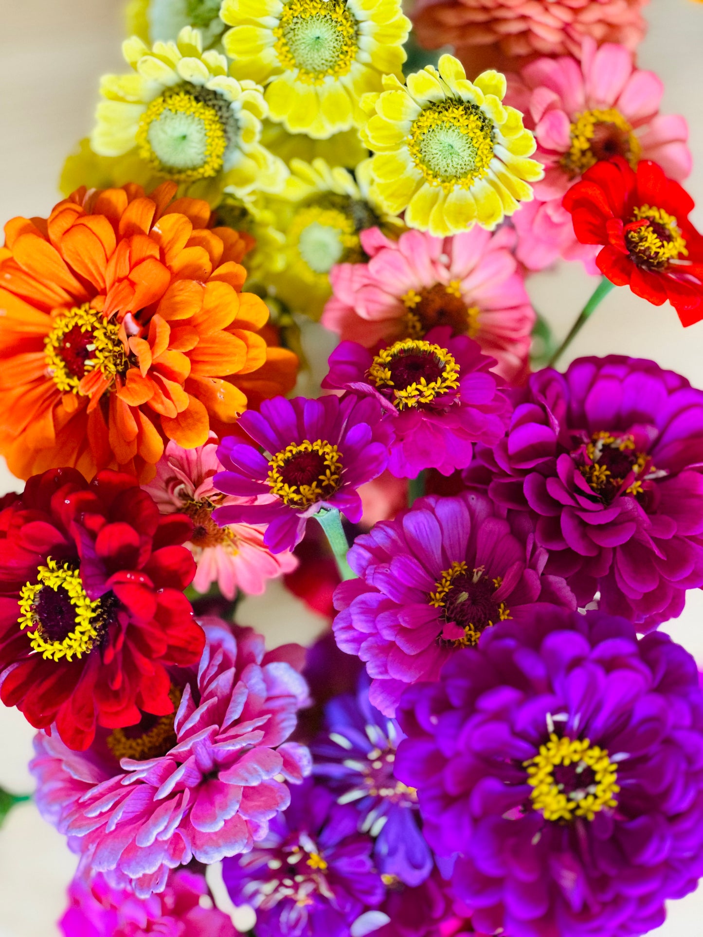 Zinnia Bouquet