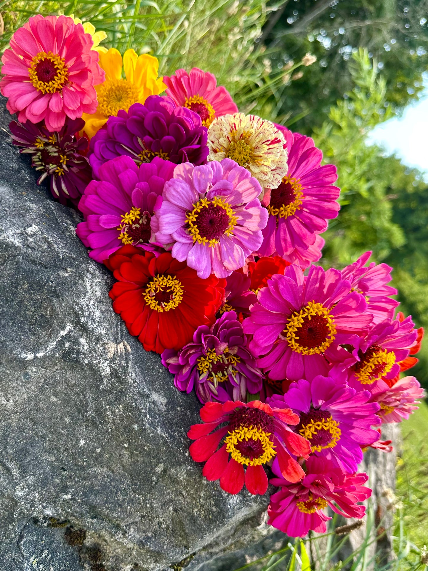 Zinnia Bouquet