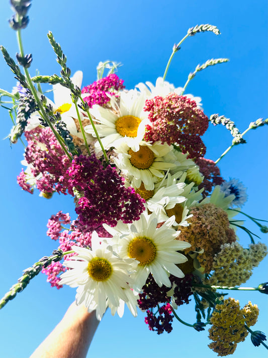 Daisy Bouquet