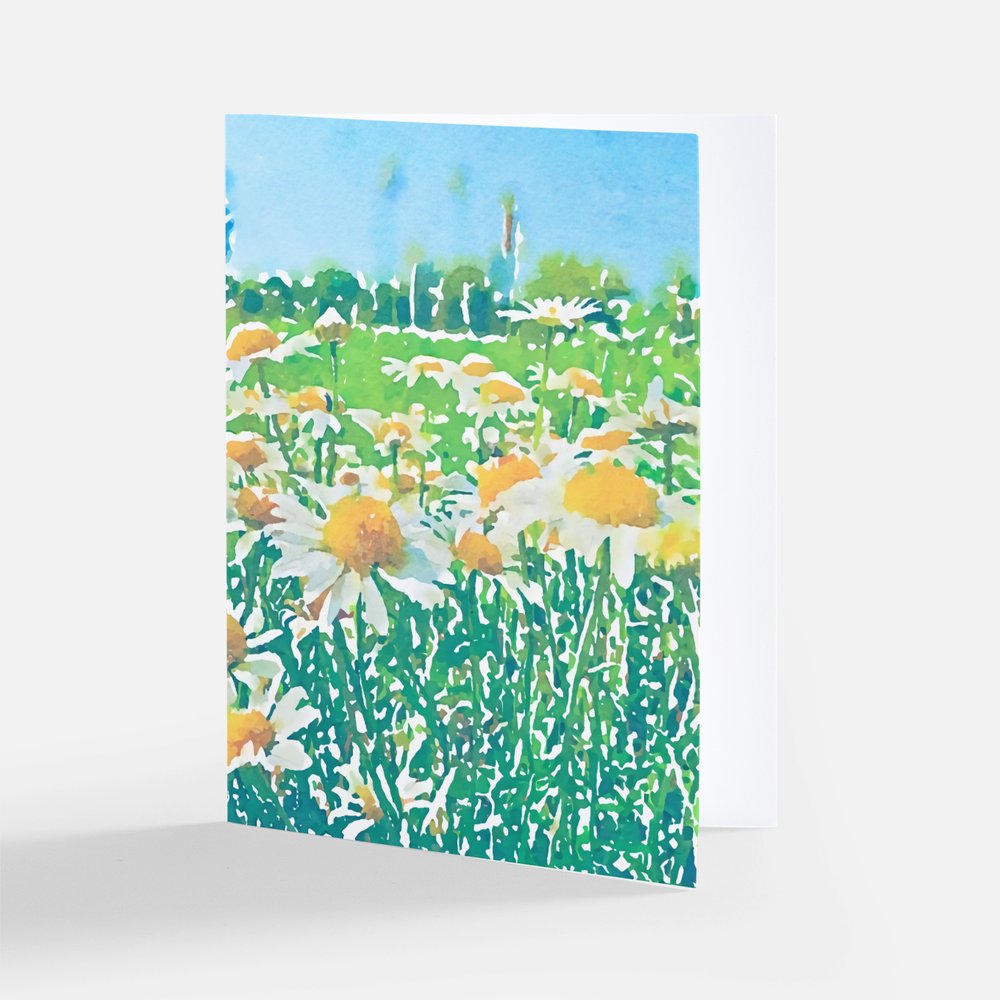 Blank Floral Cards - Pack of 3